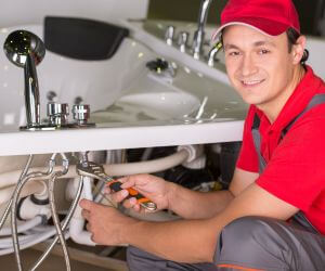 About Plumbers Pros North Rose, NY
